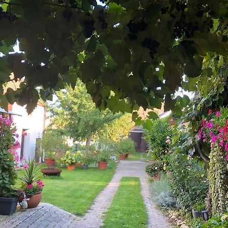 Charmantes Cottage Appartement Pottelsdorf Dış mekan fotoğraf