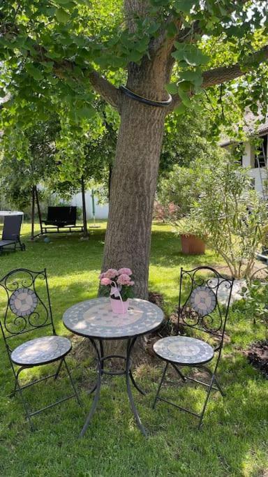 Charmantes Cottage Appartement Pottelsdorf Dış mekan fotoğraf