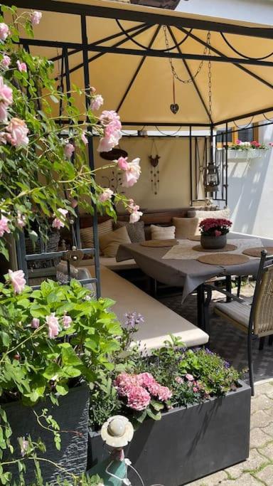 Charmantes Cottage Appartement Pottelsdorf Dış mekan fotoğraf