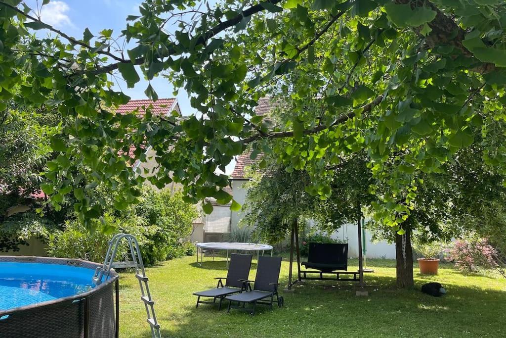 Charmantes Cottage Appartement Pottelsdorf Dış mekan fotoğraf