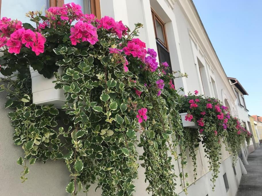 Charmantes Cottage Appartement Pottelsdorf Dış mekan fotoğraf