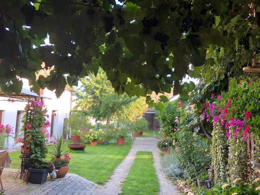 Charmantes Cottage Appartement Pottelsdorf Dış mekan fotoğraf